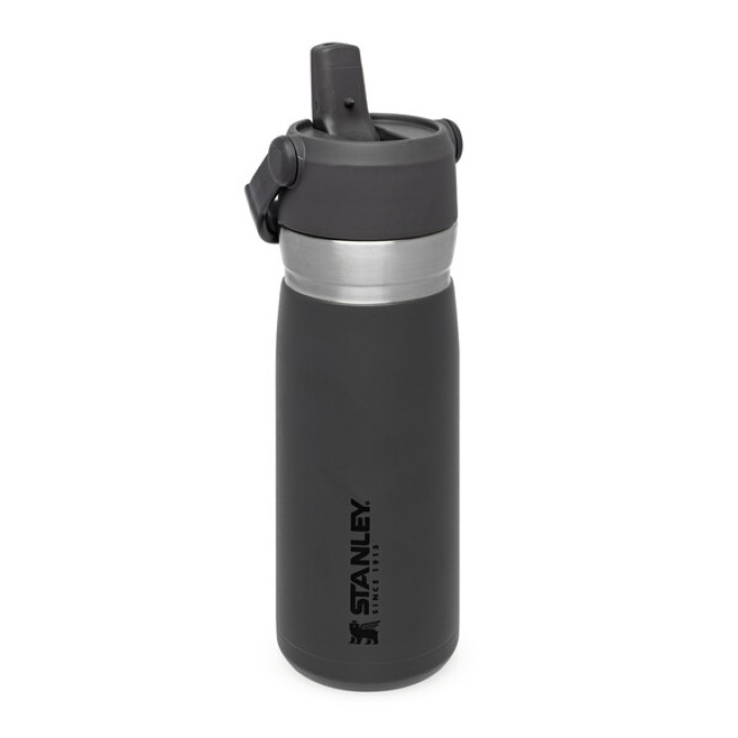 Термобутылка Stanley Go IceFlow 0,65 л, серая 10-09697-008